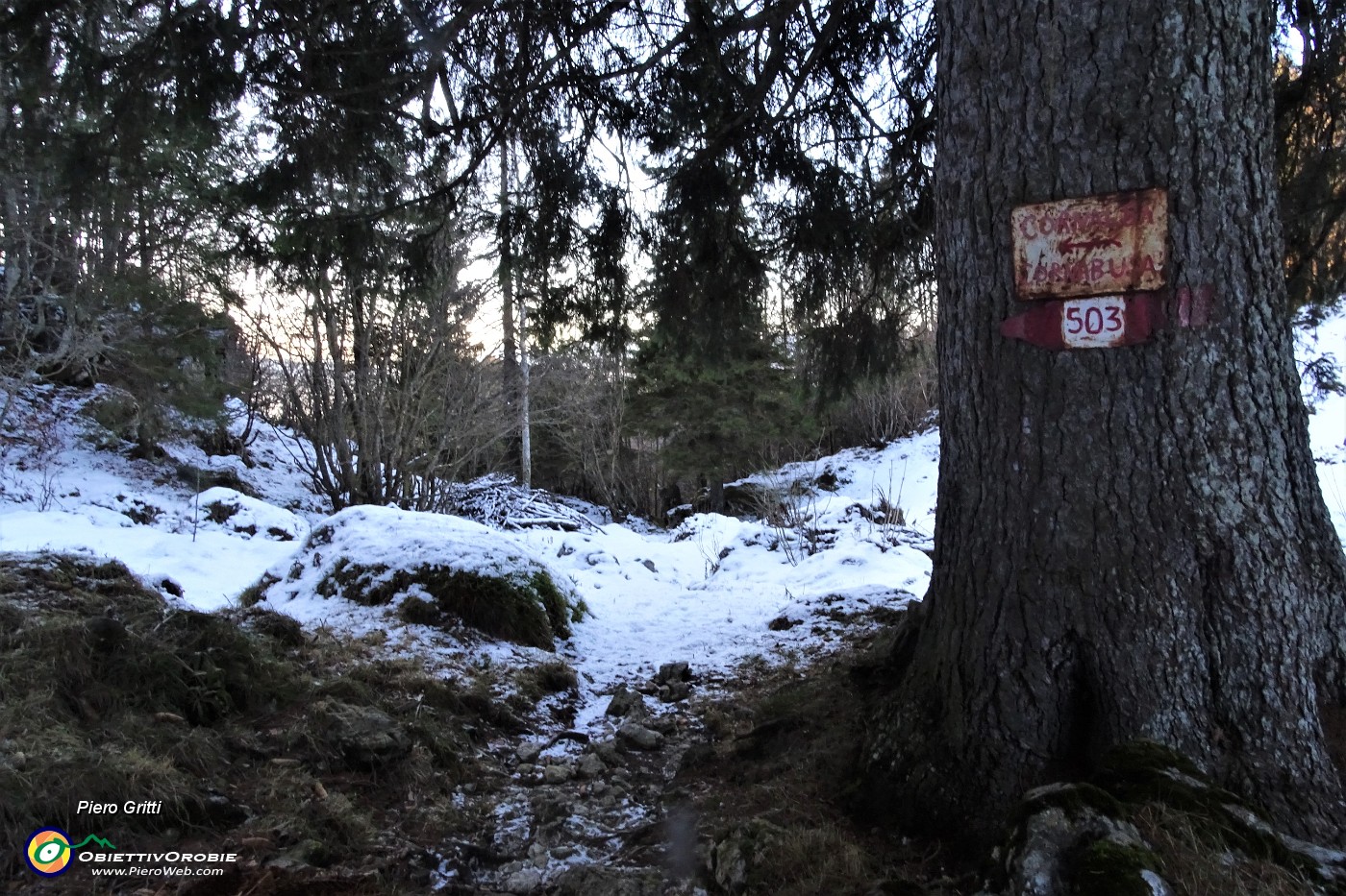 76 Dal sent. 502 passo sul sent. 503 per scendere a Cornalba.JPG